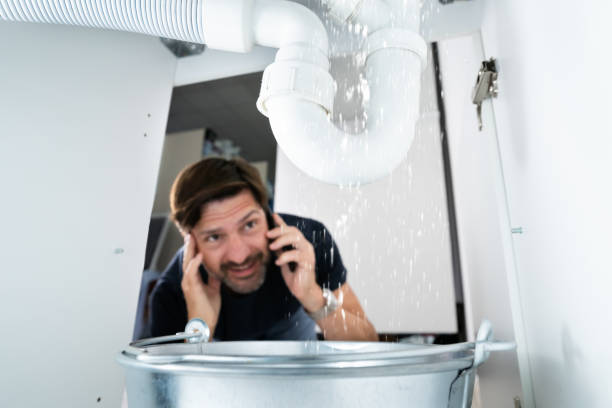 Best Sprinkler Systems  in Sebewaing, MI