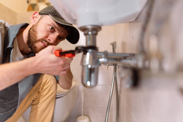 Best Emergency Plumber  in Sebewaing, MI
