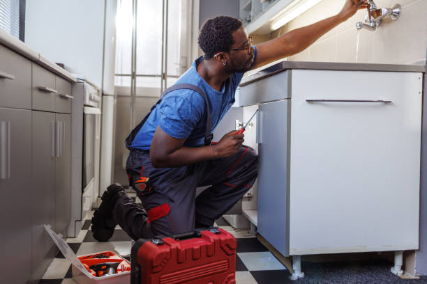 Best Affordable Plumbing Services  in Sebewaing, MI